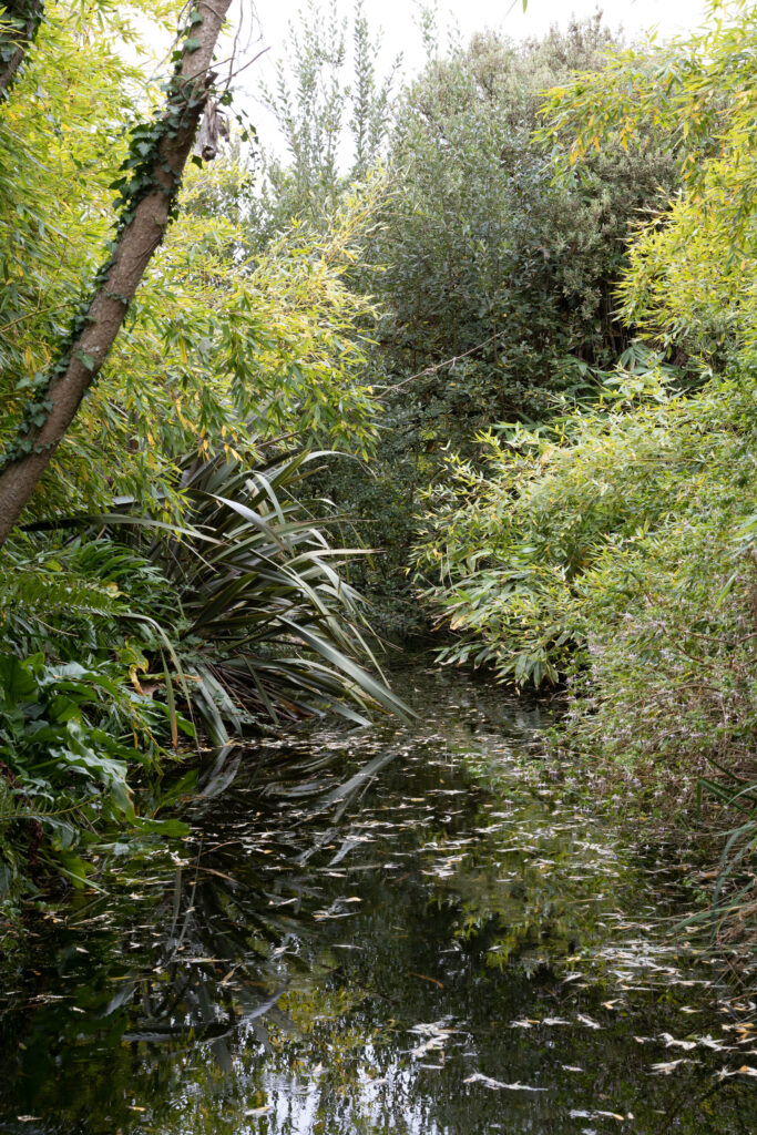 Jardin botanique de Vauville