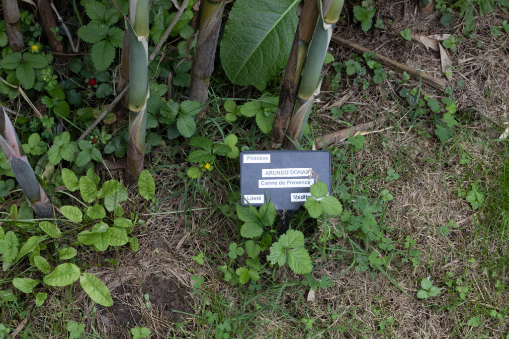 Jardin botanique de Vauville