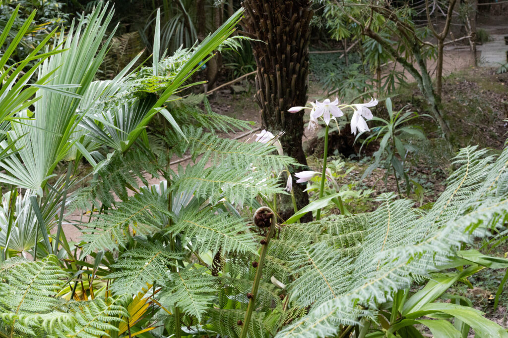 Jardin botanique de Vauville