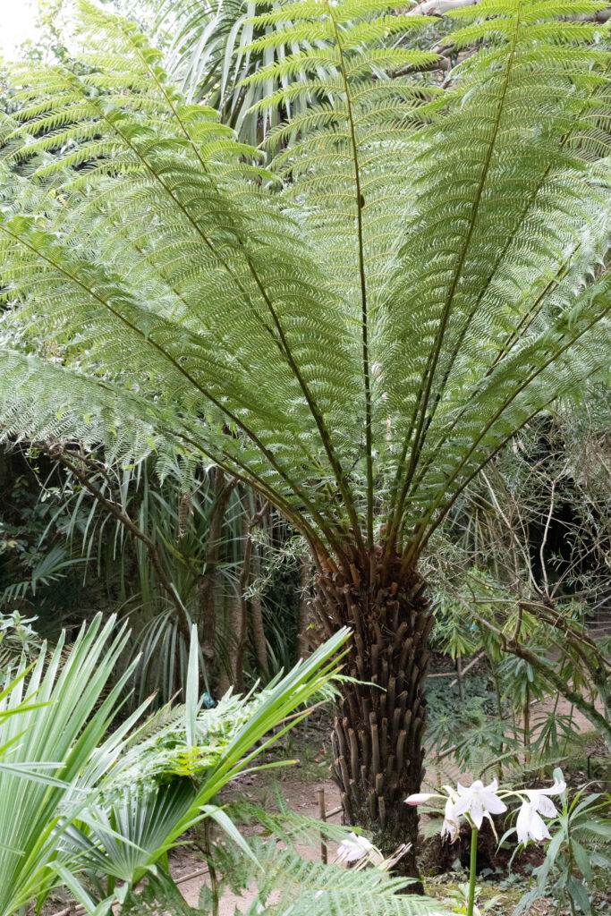 Jardin botanique de Vauville