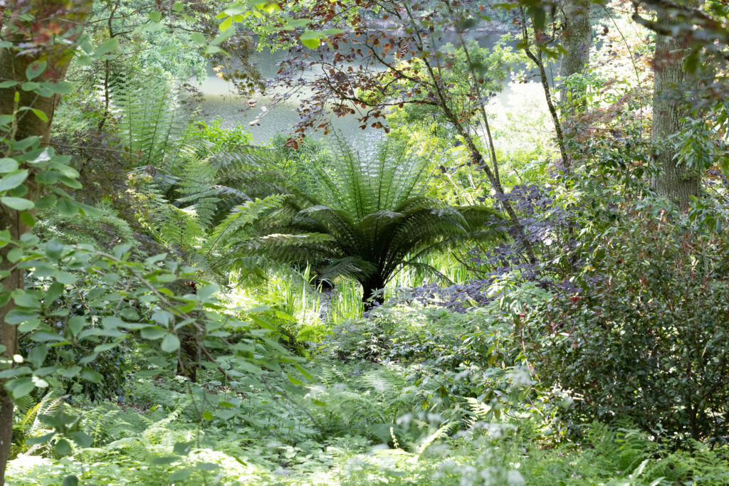 Les Jardins de Kerdalo