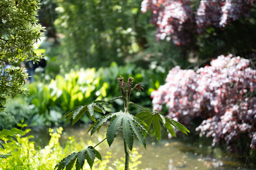 Les Jardins de Kerdalo