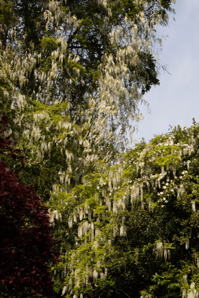 Les Jardins de Kerdalo