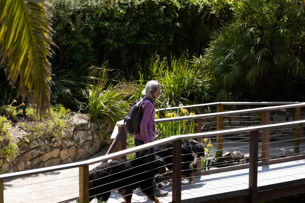 Garten von Roscoff