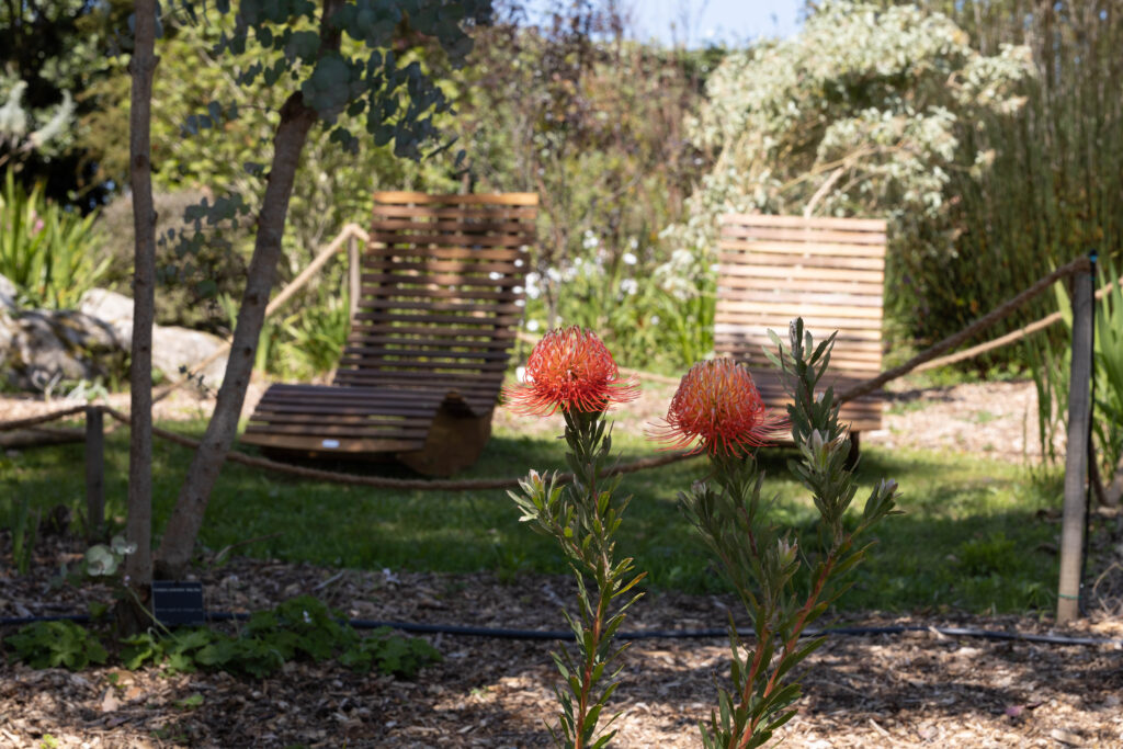 Garten von Roscoff